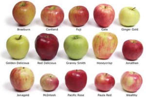 types of apple